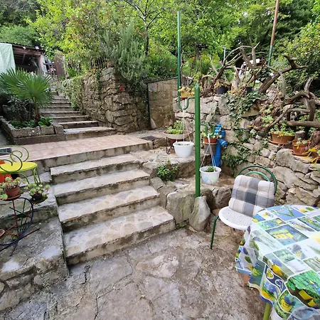 Apartmán Zlatko